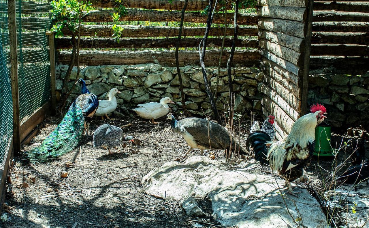 Casal Das Fontainhas Алкобаса Екстер'єр фото